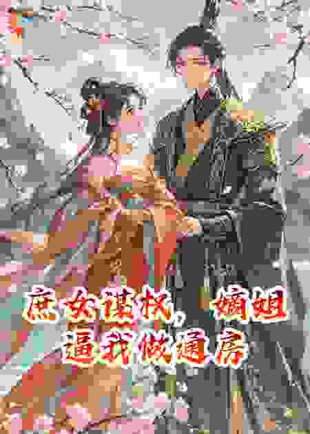 庶女谋权，嫡姐逼我做通房