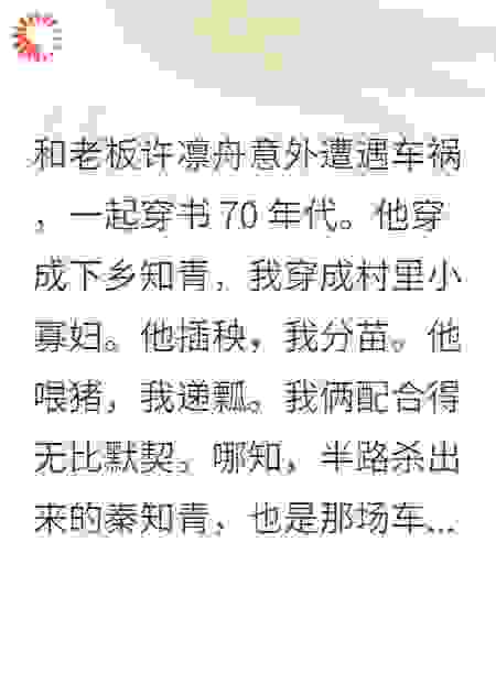 和老板许凛舟意外遭遇车祸