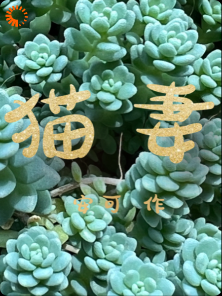 猫妻