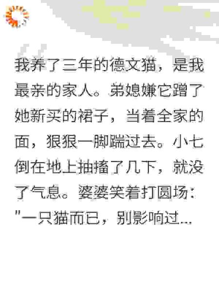 踹死我3万猫全家看笑话我没闹后弟媳崩溃