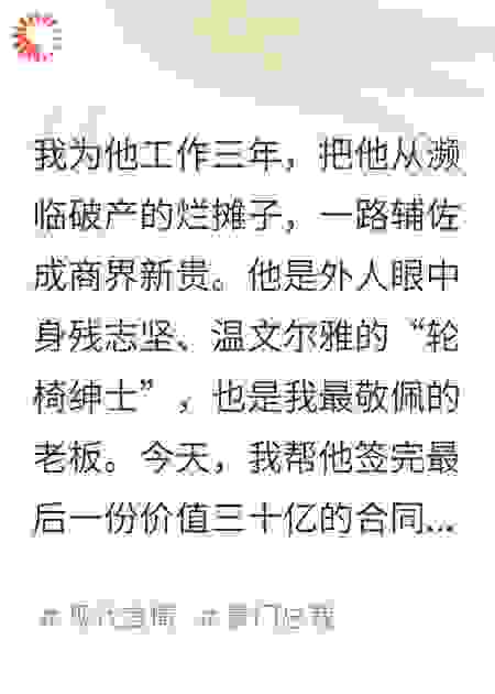 疯批大佬坐轮椅，我这秘书不干了