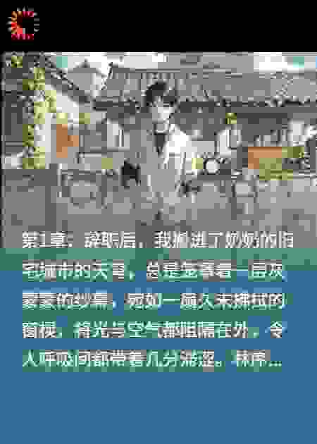 我在城中村种菜，被全网围观了