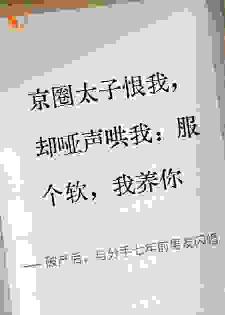 破产后，与分手七年前男友闪婚