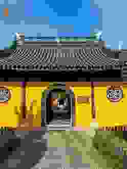 秃头案