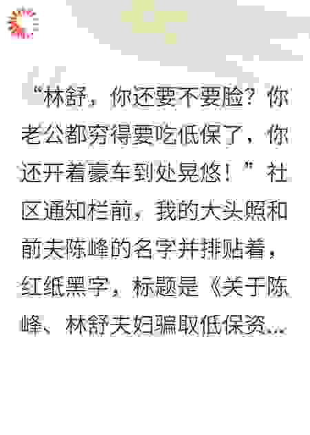 社区公示我骗低保，我反手送前夫全家坐牢