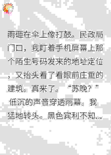 闪婚对象是公司大老板