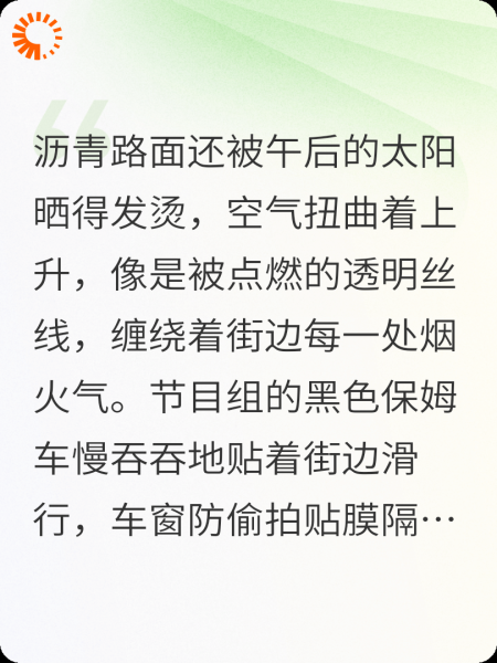 顶流追爱：我的煎饼摊老板是跨国CEO