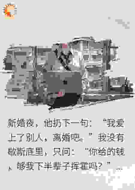 新婚夜被弃，用他钱让他跪地求饶