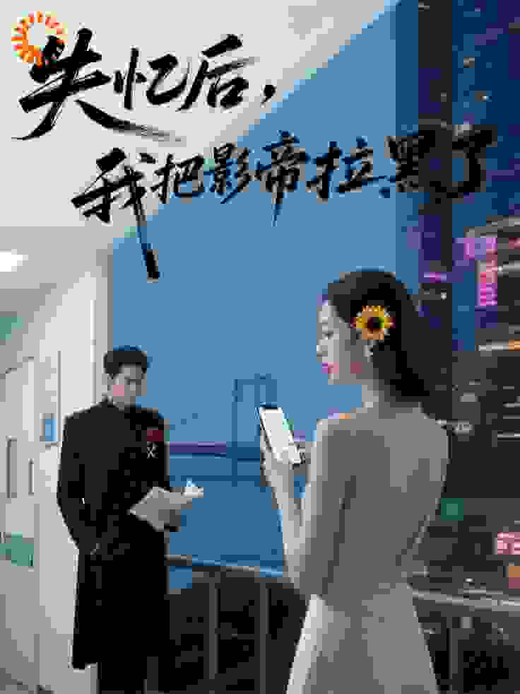 失忆后，我把影帝拉黑了