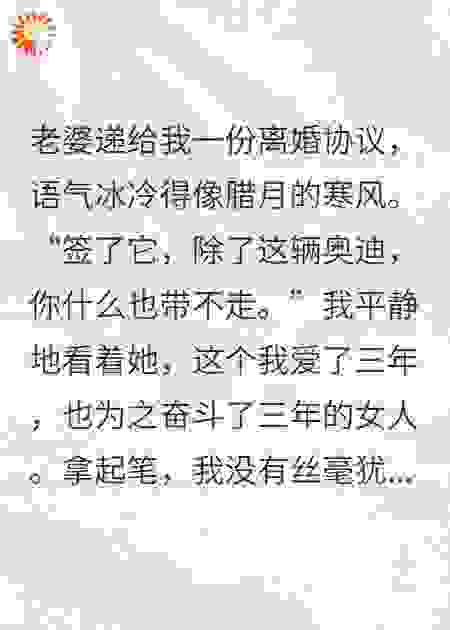 离婚后只分得一辆车，事后她才发现公司股权都在我名下
