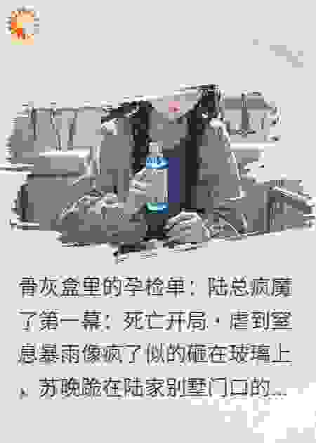 骨灰盒里的孕检单：陆总疯魔了