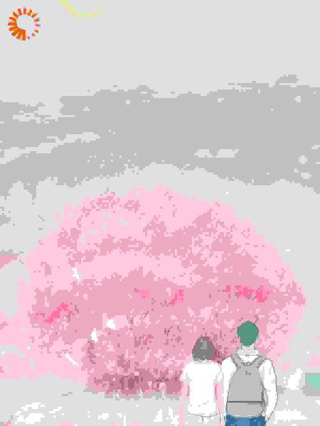 ⽩⽉光靠弹幕逆天改命