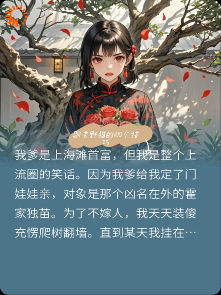 驯养野猫的100个技巧