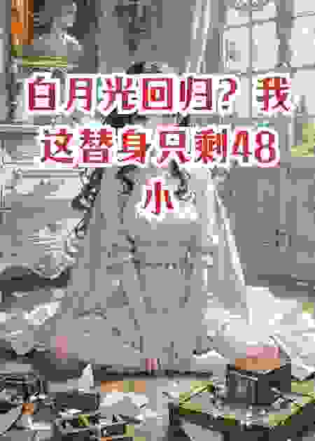 白月光回归？我这替身只剩48小时活