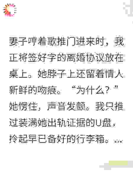 收集完证据，我平静地提出了离婚