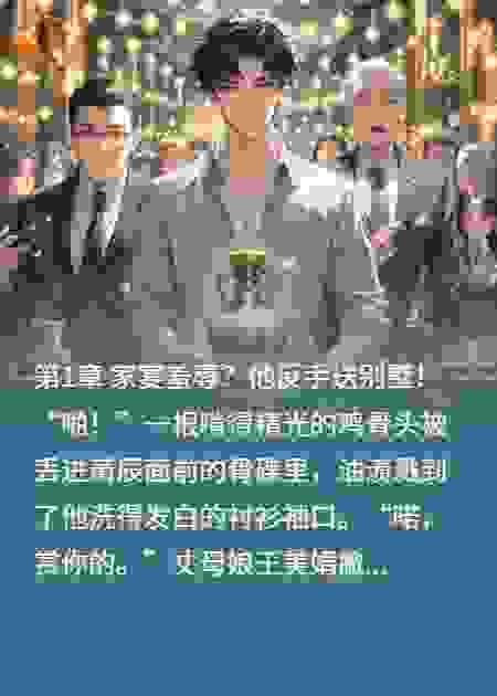 最强赘婿：岳母跪求别离婚