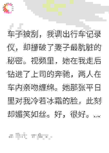 行车记录仪，拍下妻子上了谁的车
