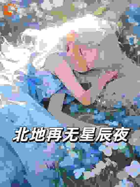 北地再无星辰夜