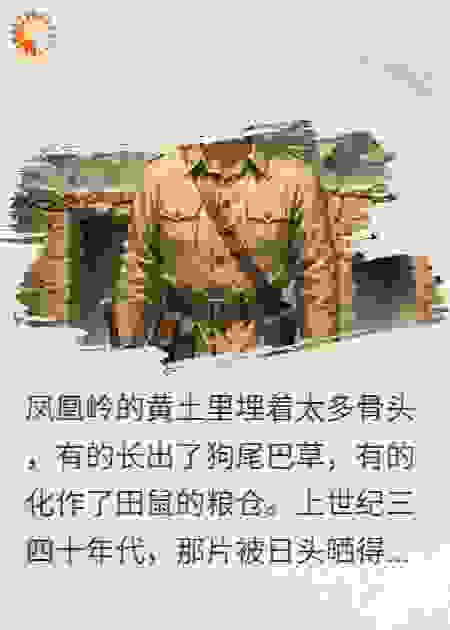 凤凰寺之劫