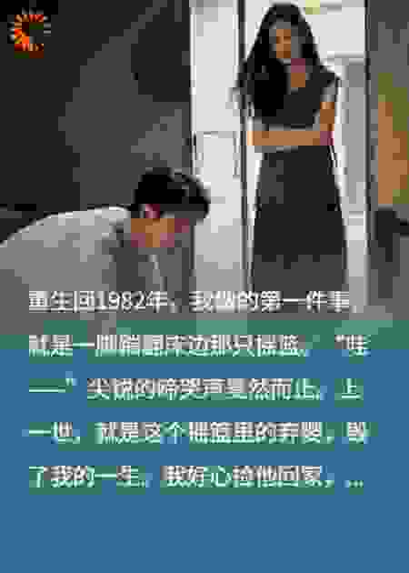 重生1982，统统给我滚开！