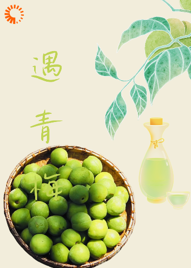 遇青梅