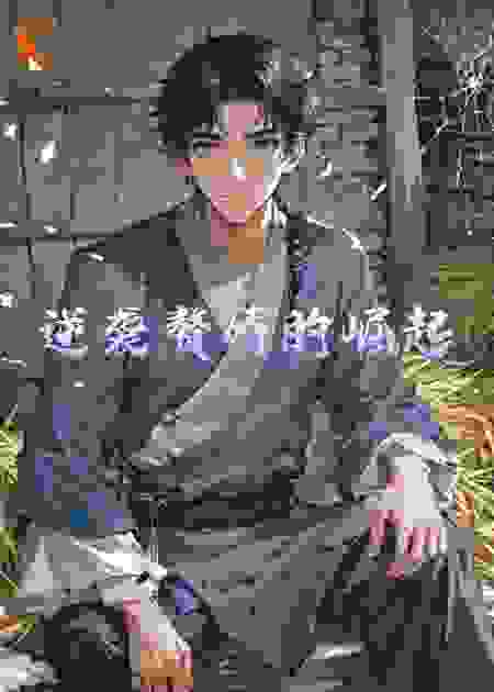 逆袭赘婿的崛起
