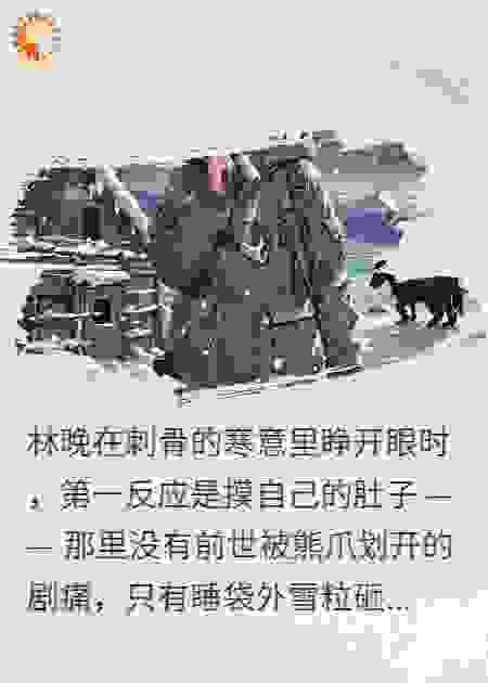 纳木错雪夜：熊影惊魂