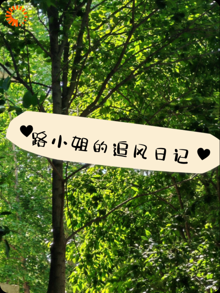路小姐的追风日记