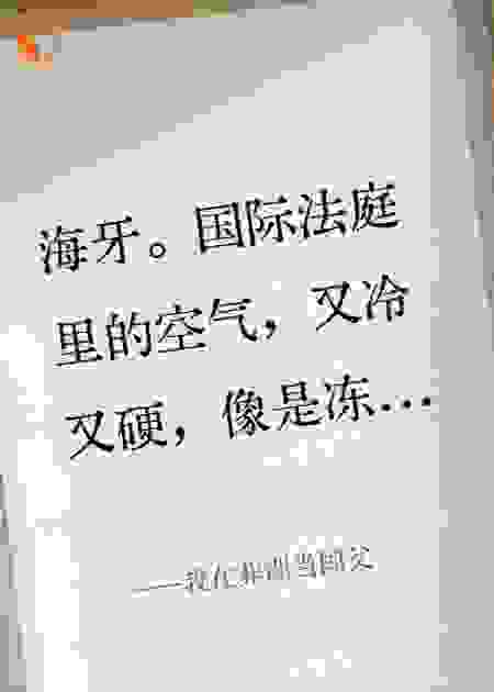 我在非洲当国父