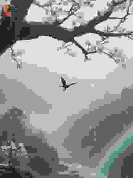 番外·芙洛拉物语