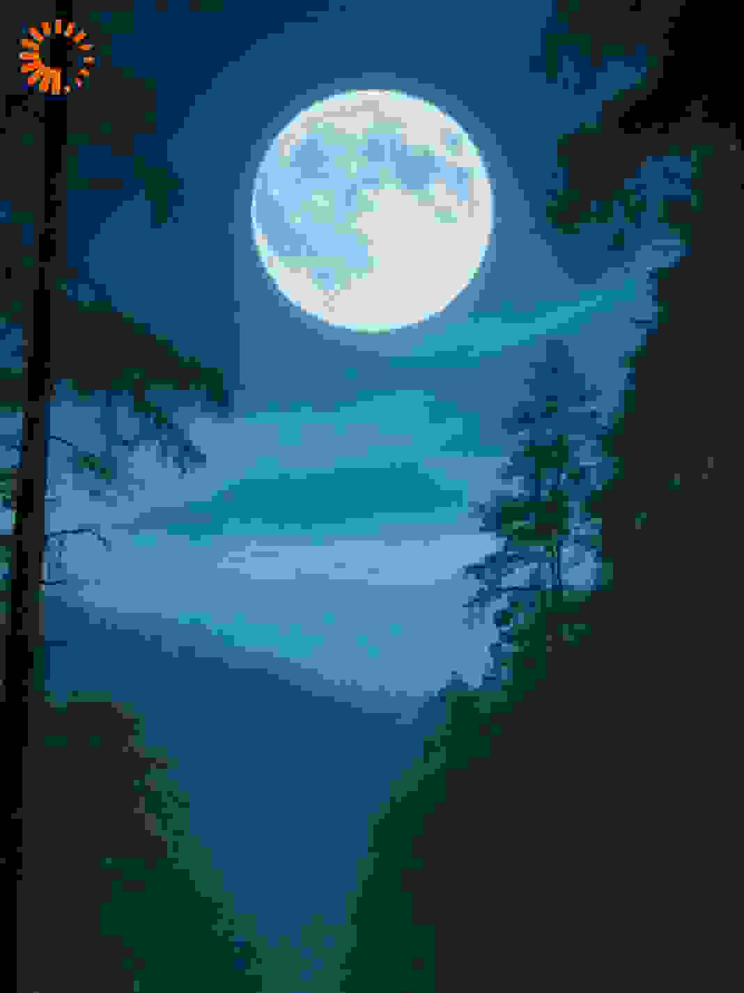 月光凝视