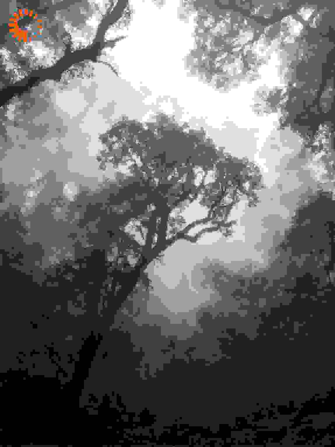 你的emo，价值连城