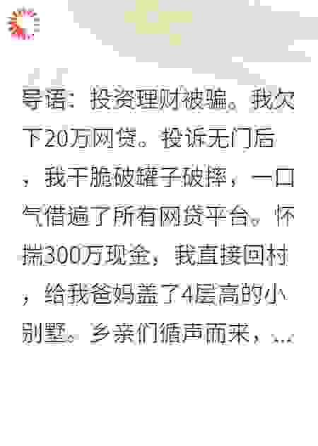 被骗欠贷20万，我反手薅秃网贷平台，带全村盖别墅